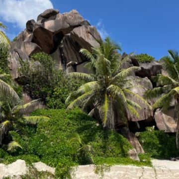 塞舌尔8日7晚私家团 塞舌尔8日7晚私家团