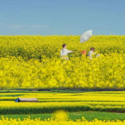 云南罗平+罗平油菜花景区+九龙瀑布群+多依河2日1晚拼小团 云南罗平+罗平油菜花景区+九龙瀑布群+多依河2日1晚拼小团