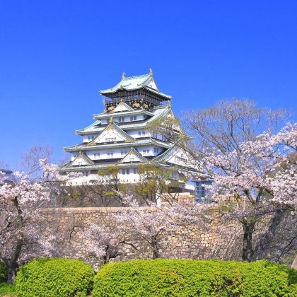 日本大阪+京都7日6晚私家团