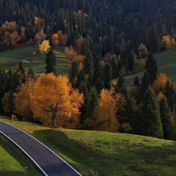 新疆乌鲁木齐+北疆+喀纳斯景区+赛里木湖+那拉提+吐鲁番10日9晚自由行 新疆乌鲁木齐+北疆+喀纳斯景区+赛里木湖+那拉提+吐鲁番10日9晚自由行