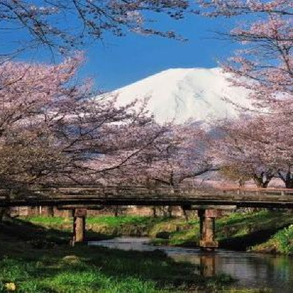 日本大阪+东京+大阪城公园+八坂神社+河口湖+秋叶原电器街+银座+富士急乐园7日6晚私家团 日本大阪+东京+大阪城公园+八坂神社+河口湖+秋叶原电器街+银座+富士急乐园7日6晚私家团