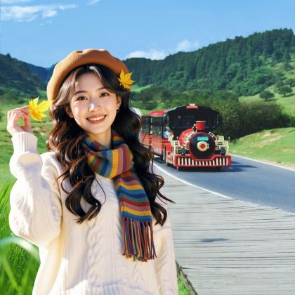 重庆+武隆区5日4晚拼小团 重庆+武隆区5日4晚拼小团