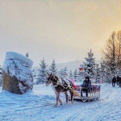 哈尔滨+亚布力滑雪旅游度假区+雪乡5日4晚自由行 哈尔滨+亚布力滑雪旅游度假区+雪乡5日4晚自由行