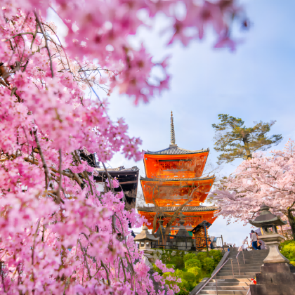 日本大阪+京都+奈良+神户6日5晚私家团 日本大阪+京都+奈良+神户6日5晚私家团