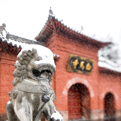 洛阳+老君山+洛阳伏牛山滑雪场清凉届3日2晚私家团