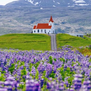 冰岛雷克雅未克+黄金旅游圈+蓝湖+阿克雷里+米湖+瓦特纳冰川国家公园9日8晚拼小团 冰岛雷克雅未克+黄金旅游圈+蓝湖+阿克雷里+米湖+瓦特纳冰川国家公园9日8晚拼小团