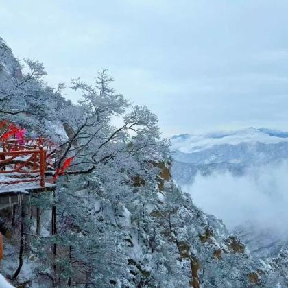 河南洛阳+老君山景区+龙门石窟+白马寺+少林寺4日3晚私家团 河南洛阳+老君山景区+龙门石窟+白马寺+少林寺4日3晚私家团