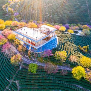 龙岩+福建土楼永定景区+永福台品樱花茶园3日2晚私家团 龙岩+福建土楼永定景区+永福台品樱花茶园3日2晚私家团