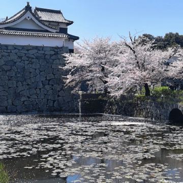 日本九州+福冈+北九州+丝岛市5日4晚跟团游 日本九州+福冈+北九州+丝岛市5日4晚跟团游