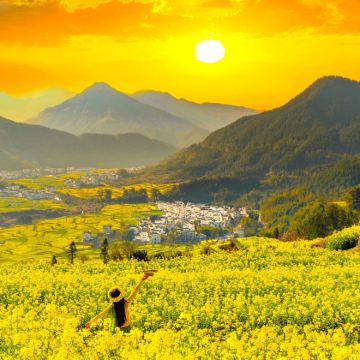 江西葛仙村度假区+望仙谷+婺源+景德镇4日3晚跟团游 江西葛仙村度假区+望仙谷+婺源+景德镇4日3晚跟团游