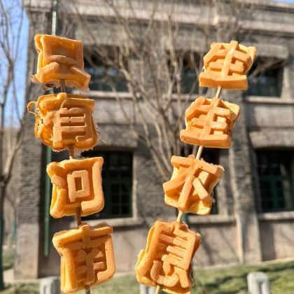 郑州+登封+洛阳+开封8日7晚私家团 郑州+登封+洛阳+开封8日7晚私家团