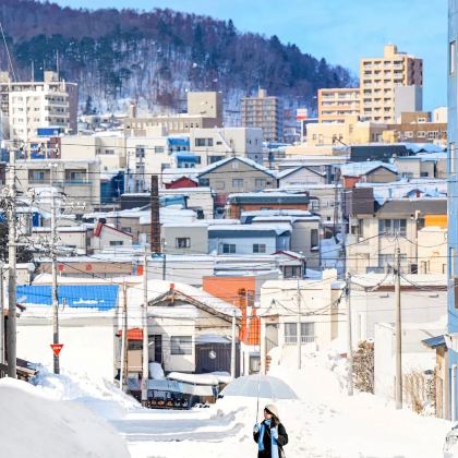 日本北海道8日7晚私家团 日本北海道8日7晚私家团