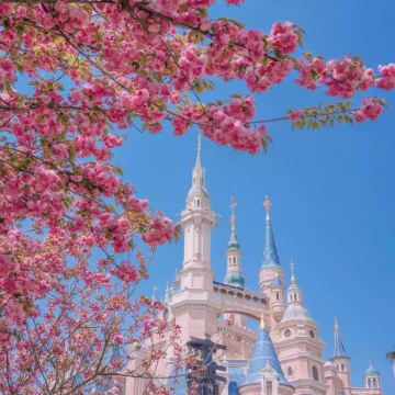 上海+迪士尼(Disney)3日2晚私家团 上海+迪士尼(Disney)3日2晚私家团