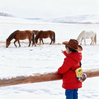 赤峰乌兰布统旅游区3日2晚私家团 赤峰乌兰布统旅游区3日2晚私家团