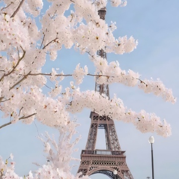 荷兰+法国12日11晚自由行 荷兰+法国12日11晚自由行