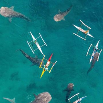 马尼拉市+宿务+薄荷岛6日5晚私家团 马尼拉市+宿务+薄荷岛6日5晚私家团