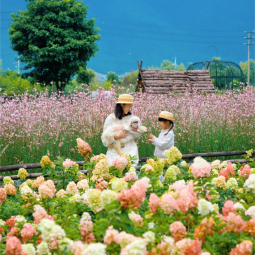 云南大理市+丽江+洱海+玉龙雪山4日3晚私家团 云南大理市+丽江+洱海+玉龙雪山4日3晚私家团