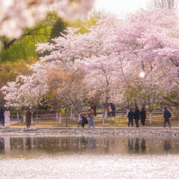 北京+天津6日5晚跟团游 北京+天津6日5晚跟团游