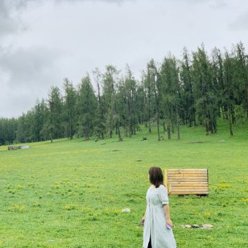 新疆北疆+乌鲁木齐+喀纳斯+赛里木湖7日6晚拼小团 新疆北疆+乌鲁木齐+喀纳斯+赛里木湖7日6晚拼小团