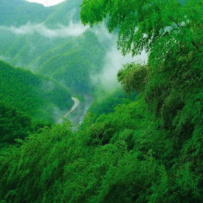 安吉中国大竹海+藏龙百瀑+莫干山风景名胜区+德清下渚湖湿地公园3日2晚私家团