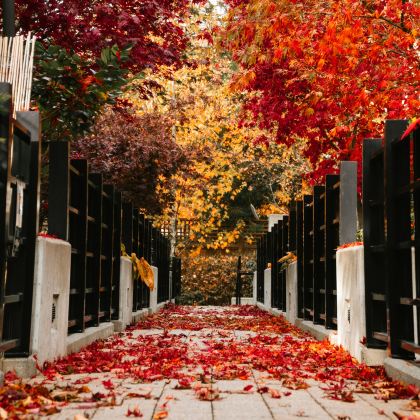 加拿大魁北克城+渥太华+多伦多+蒙特利尔+尼亚加拉瀑布+金斯顿10日8晚私家团 加拿大魁北克城+渥太华+多伦多+蒙特利尔+尼亚加拉瀑布+金斯顿10日8晚私家团