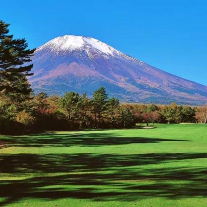 日本大阪+京都+背割堤+原谷苑8日7晚私家团 日本大阪+京都+背割堤+原谷苑8日7晚私家团