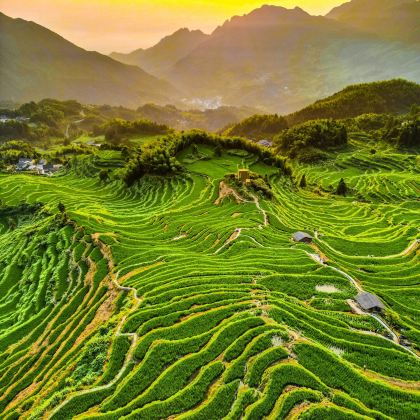 丽水+缙云仙都景区+云和梯田景区3日2晚私家团 丽水+缙云仙都景区+云和梯田景区3日2晚私家团