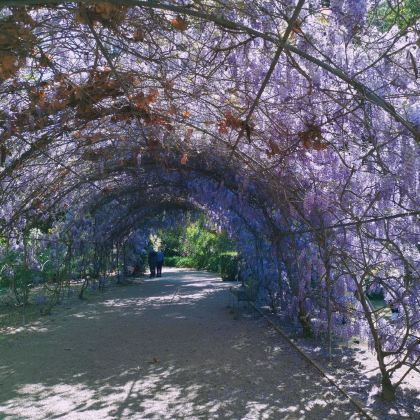 澳大利亚阿德莱德11日9晚私家团 澳大利亚阿德莱德11日9晚私家团