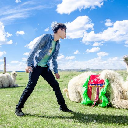 呼伦贝尔+满洲里+海拉尔+呼伦贝尔大草原+阿尔山+额尔古纳7日6晚自由行 呼伦贝尔+满洲里+海拉尔+呼伦贝尔大草原+阿尔山+额尔古纳7日6晚自由行