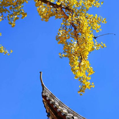江西明月山+武功山+羊狮慕风景区+仙女湖4日3晚拼小团 江西明月山+武功山+羊狮慕风景区+仙女湖4日3晚拼小团