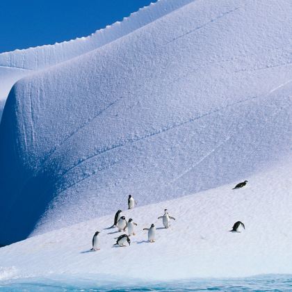 南极洲+阿根廷+巴西+智利+乌拉圭+秘鲁36日跟团游 南极洲+阿根廷+巴西+智利+乌拉圭+秘鲁36日跟团游