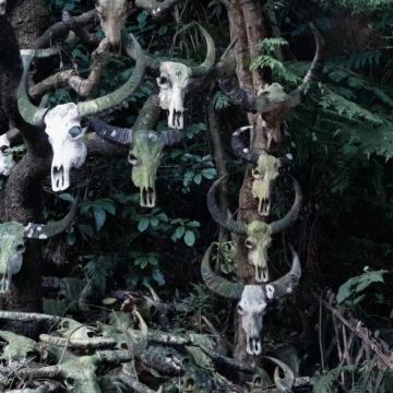 云南临沧+沧源4日3晚私家团 云南临沧+沧源4日3晚私家团