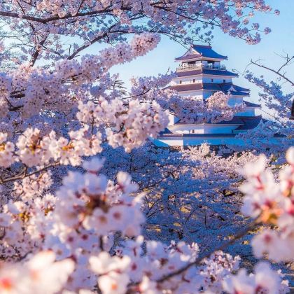 日本东京+大阪+京都6日5晚跟团游 日本东京+大阪+京都6日5晚跟团游