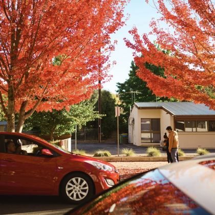澳大利亚阿德莱德4日3晚私家团 澳大利亚阿德莱德4日3晚私家团