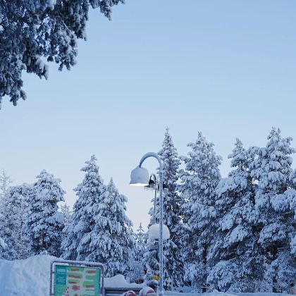 芬兰罗瓦涅米+萨尼色尔卡+伊纳里+挪威希尔克内斯6日5晚拼小团 芬兰罗瓦涅米+萨尼色尔卡+伊纳里+挪威希尔克内斯6日5晚拼小团