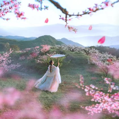 江西庐山3日2晚私家团 江西庐山3日2晚私家团