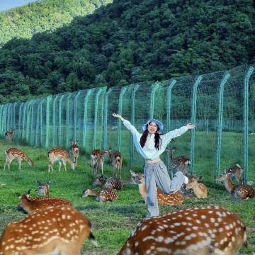 武汉+宜昌+神农架+武当山风景区+恩施市11日10晚跟团游 武汉+宜昌+神农架+武当山风景区+恩施市11日10晚跟团游