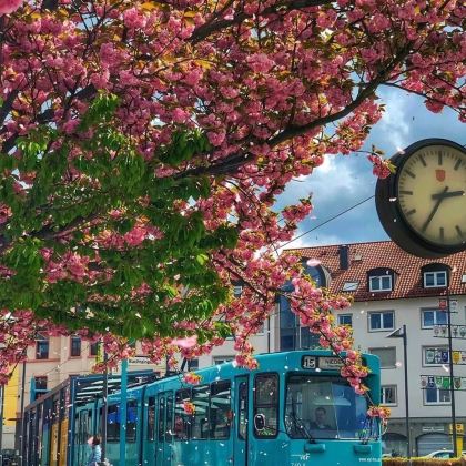 德国7日6晚私家团 德国7日6晚私家团