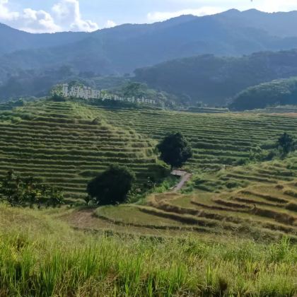 海口+琼中+五指山+保亭+东方8日7晚跟团游 海口+琼中+五指山+保亭+东方8日7晚跟团游