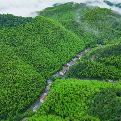 湖州+莫干山+安吉4日3晚私家团 湖州+莫干山+安吉4日3晚私家团