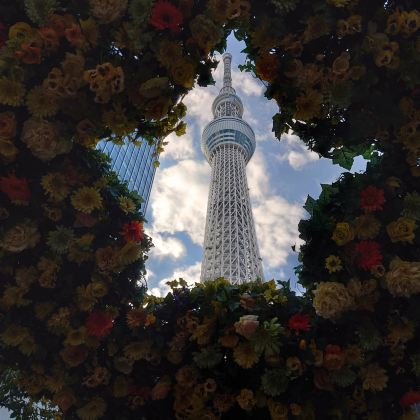 日本东京+伊豆6日5晚私家团 日本东京+伊豆6日5晚私家团