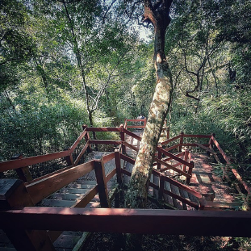 海南海口+文昌+万宁+陵水+三亚6日5晚跟团游 海南海口+文昌+万宁+陵水+三亚6日5晚跟团游