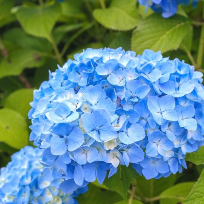 韩国济州岛6日5晚自由行 韩国济州岛6日5晚自由行