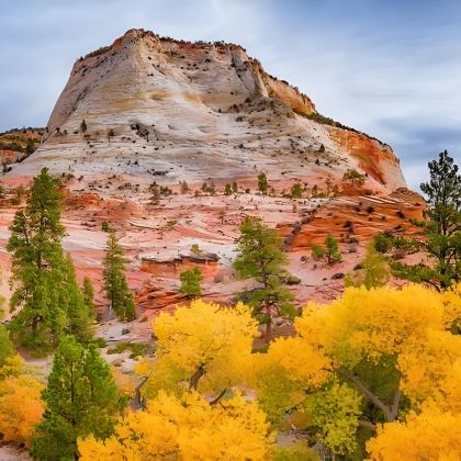 美国旧金山+洛杉矶+拉斯维加斯+盐湖城+黄石国家公园12日11晚自由行 美国旧金山+洛杉矶+拉斯维加斯+盐湖城+黄石国家公园12日11晚自由行