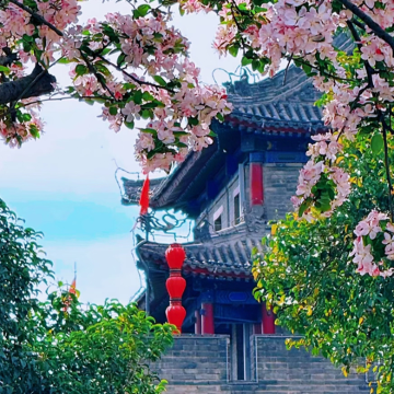 西安4日3晚私家团 西安4日3晚私家团