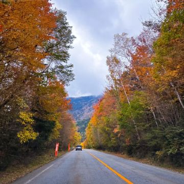 日本东京+大阪+京都+福冈9日8晚跟团游 日本东京+大阪+京都+福冈9日8晚跟团游