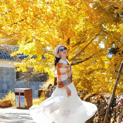 昆明+大理市+丽江+芒市+腾冲+瑞丽11日10晚跟团游 昆明+大理市+丽江+芒市+腾冲+瑞丽11日10晚跟团游