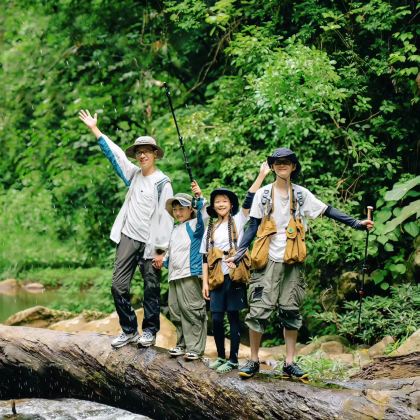 中国云南昆明+云南哀牢山国家级自然保护区+普洱+西双版纳8日7晚自由行 中国云南昆明+云南哀牢山国家级自然保护区+普洱+西双版纳8日7晚自由行