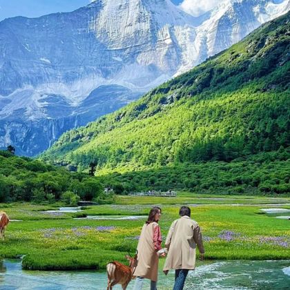 漠河+北极村3日2晚私家团 漠河+北极村3日2晚私家团