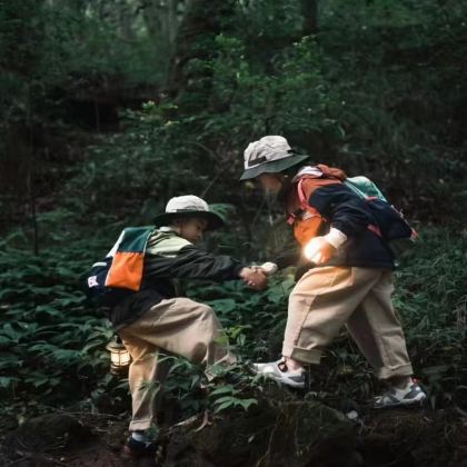 西双版纳+野象谷4日3晚拼小团 西双版纳+野象谷4日3晚拼小团